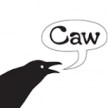crowcaws