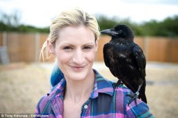 366f81ec00000578-3699309-image-a-60_1469017445125