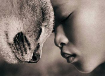 575c0dbf68c2a6c2229e1819a157cd34