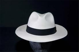 fedora+-+white+-+hatsonsugar