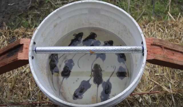 Screen Shot 2018-03-03 at 3.34.41 PM